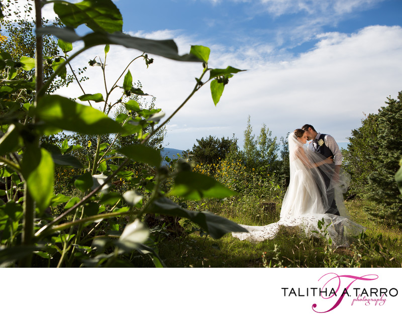 Outdoor wedding pictures at Nature Pointe