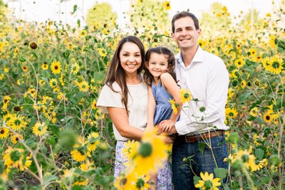 Sunflower Field Family Photos