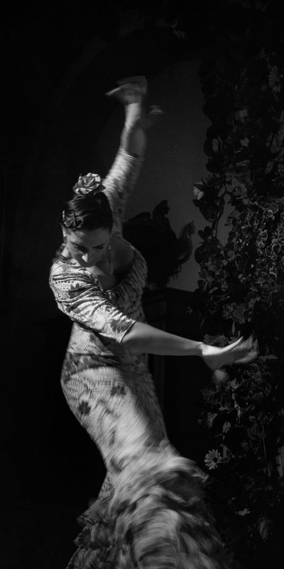 Flamenco dancer at Casa de Carmen in Sevilla, Spain.