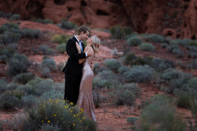 Engagement Celebration at Valley of Fire