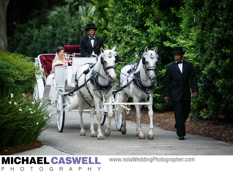 Horse-Drawn Carriage at Southern Oaks Plantation