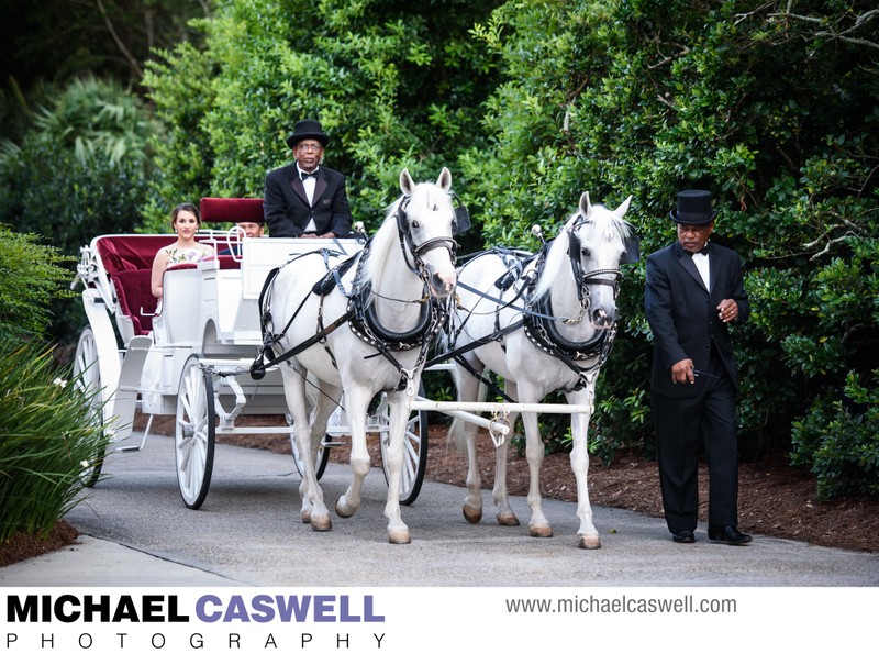 Southern Oaks Bride in Horse-Drawn Carriage