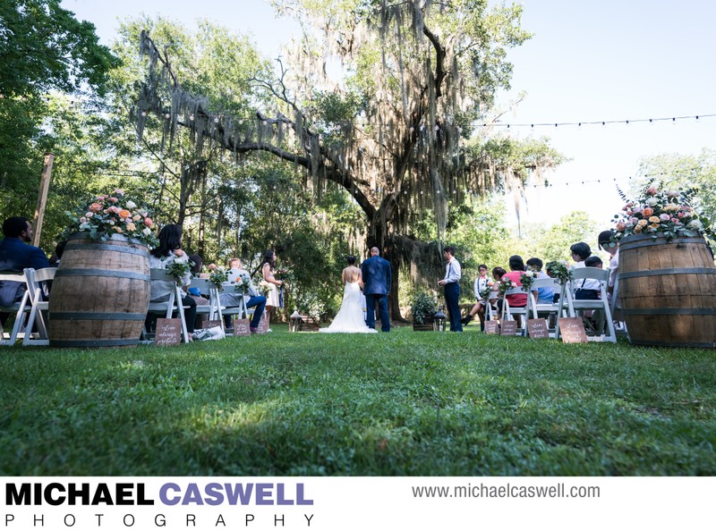 Wedding Ceremony at Palmettos on the Bayou