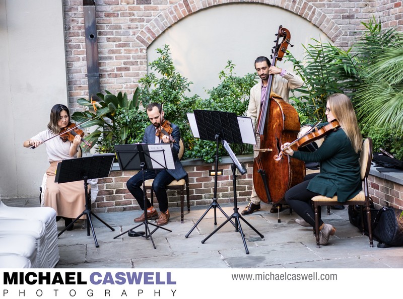 Harlequin Quartet / Radio Bird performs for wedding