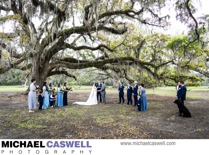 Fontainebleau State Park Wedding Ceremony