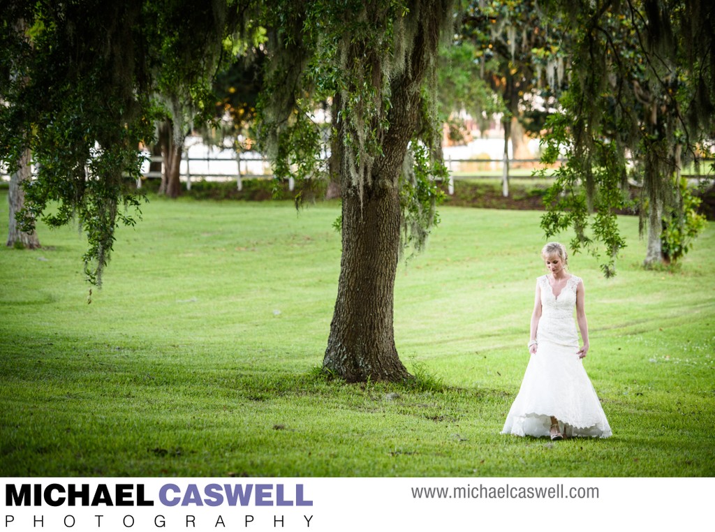 Bride Walks Through Field in Mississippi
