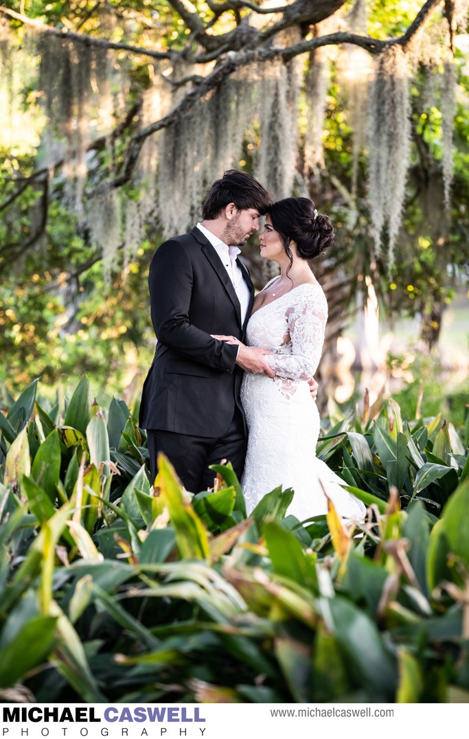 Bride and Groom in New Orleans City Park