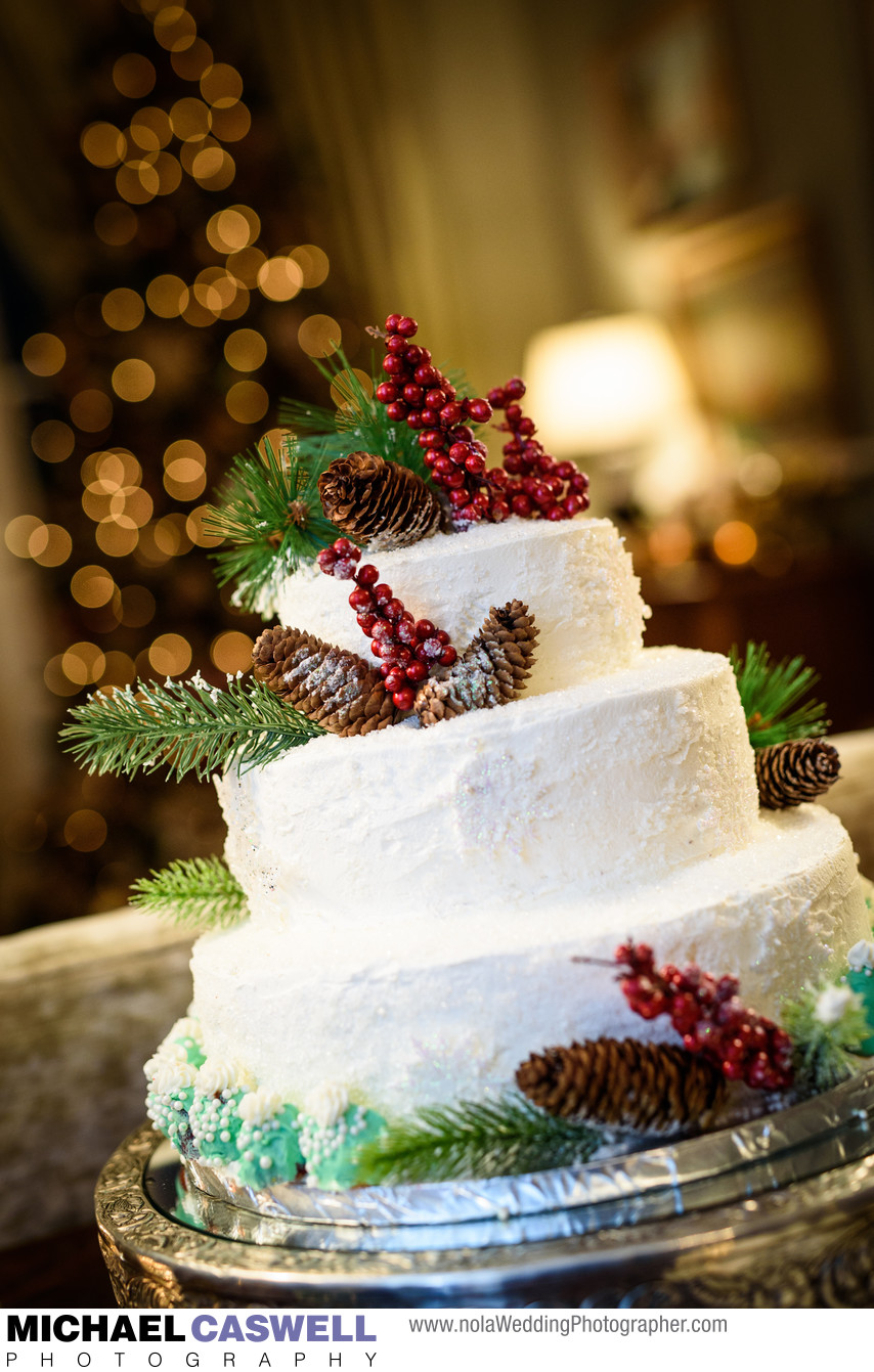 Winter-Themed Wedding Cake at Terrell House