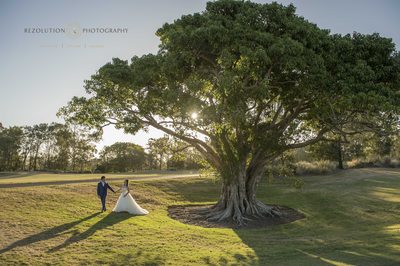 Fig Tree Wedding Photographer Links Hope Island
