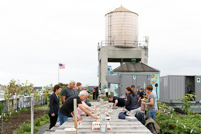 Farm to table lunch created by Brooklyn Grange for attendees