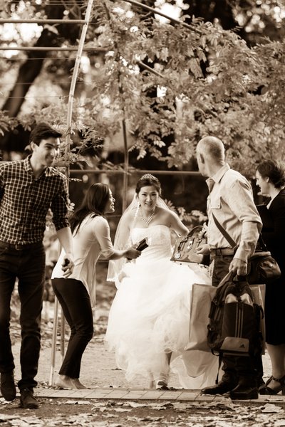 Botanic Gardens Wedding Photographer