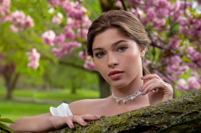 albany portraits