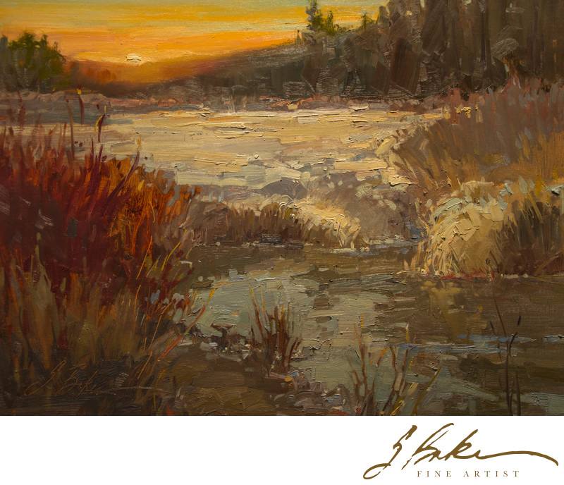 Virginia Meadows Suzie Baker Fine Artist Landscapes