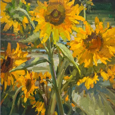 Sunny Dispositions