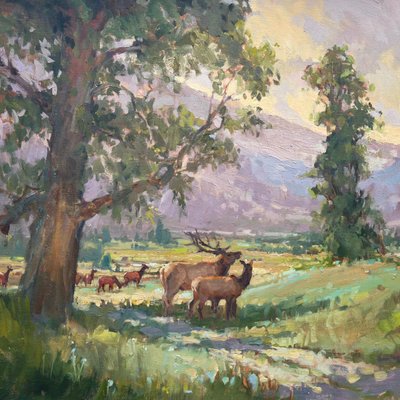 Valley Home