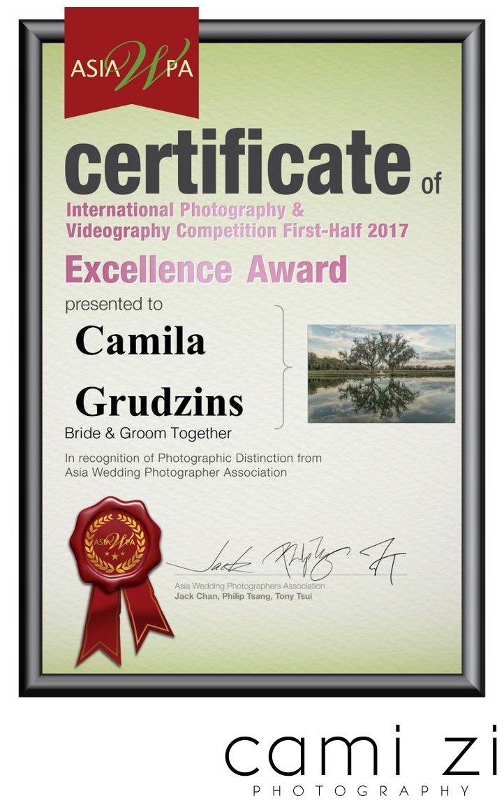 Bride & Groom Together Wedding Photography Award