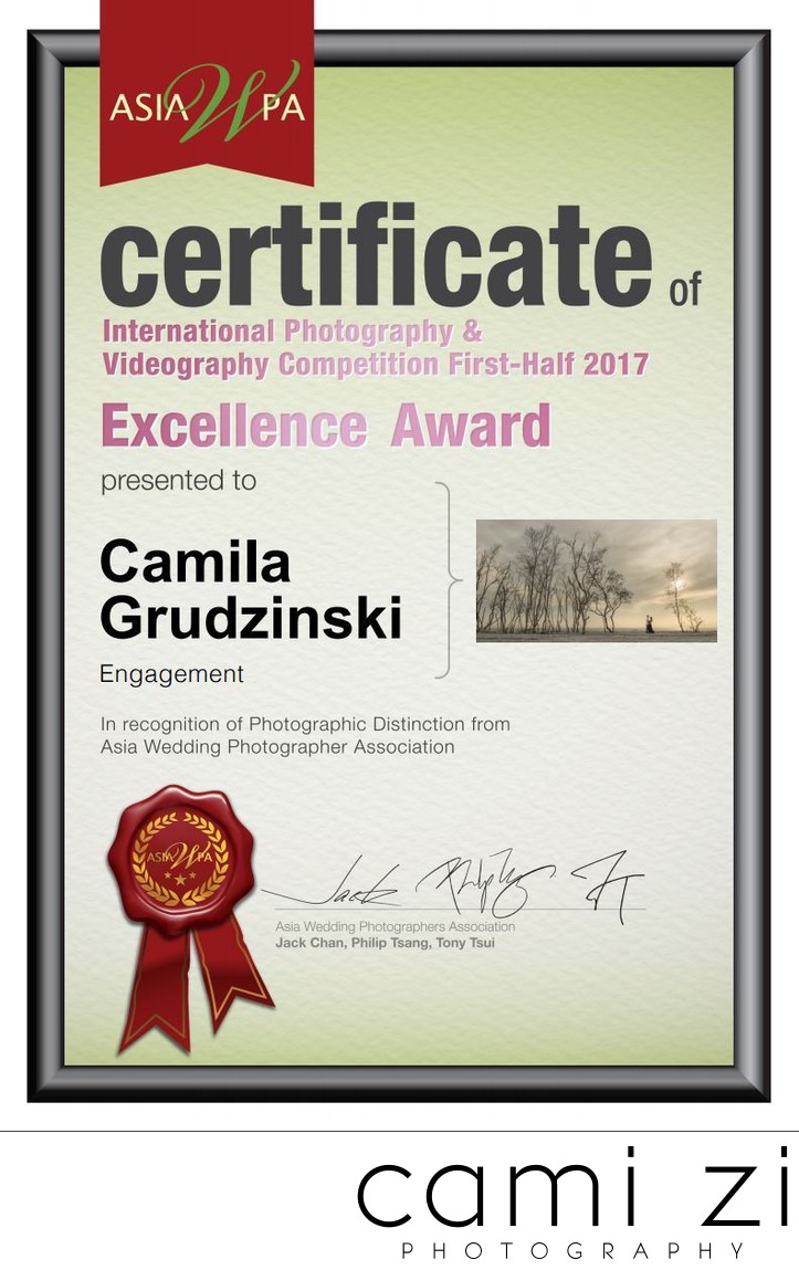 Engagement Session Photography Excellence Award