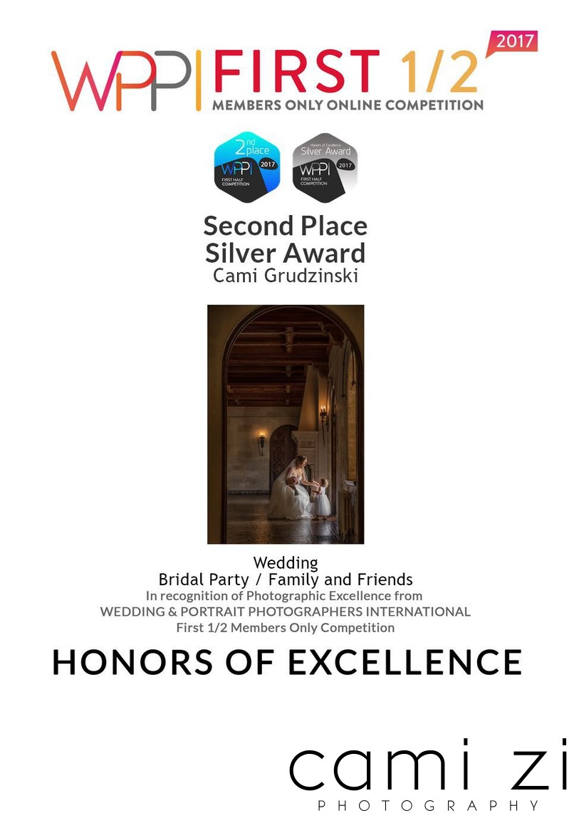 Second Place Silver Award Wedding Party Photo