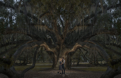 Dramatic Photos Under Large Tree