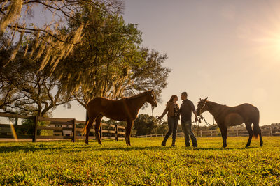 Engagement Photos with Horses