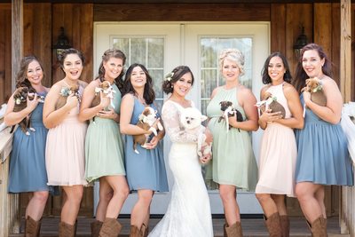Pensacola Wedding Puppy Bouquets 