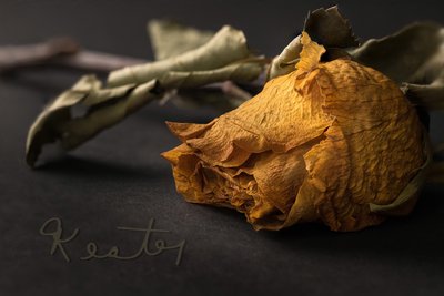 Dried Memorial Flower with Signature