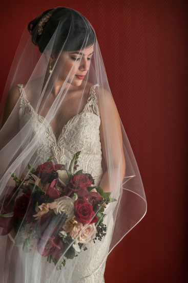 Beautiful Bridal Portraits