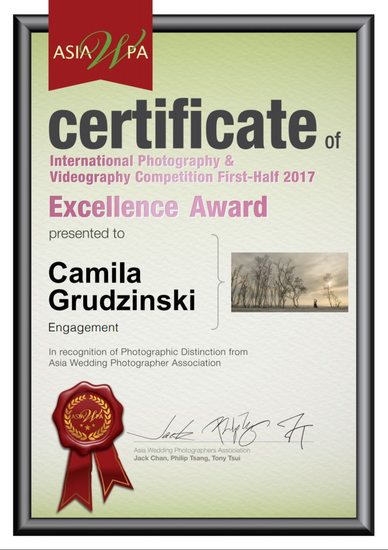 Engagement Session Photography Excellence Award