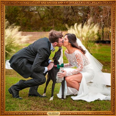 Crowley, LA wedding, puppies, NOLA wedding photographer