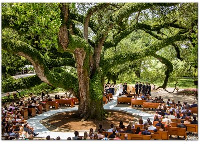New Orleans Country Club, outdoor wedding, photographer