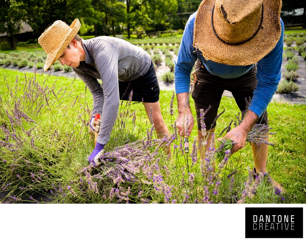 Lifestyle agricultural photographer