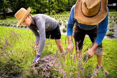 Lifestyle agricultural photographer