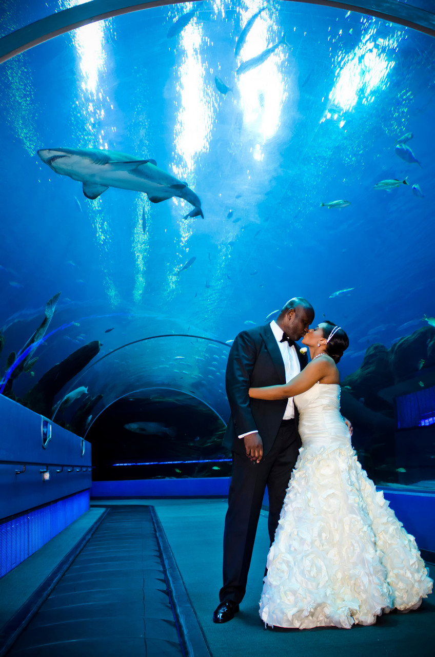 Georgia Aquarium Atlanta Wedding Photographer couple kiss 1