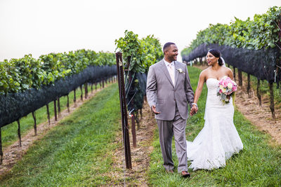 Yonah Mountain Vineyards Wedding Destination Wedding 2