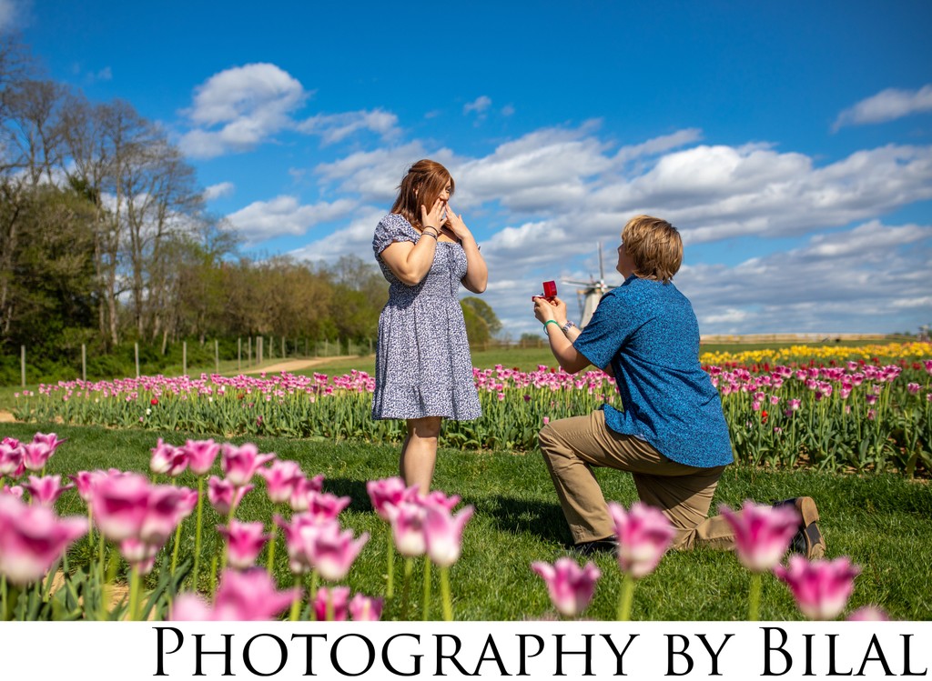 Surprise Proposal at Holland Ridge Farms Tulips