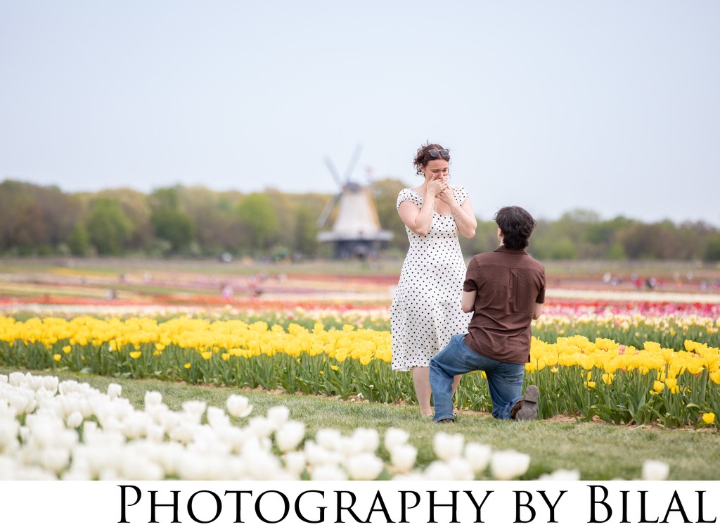 Surprise Proposal at Holland Ridge Farms Tulip Field