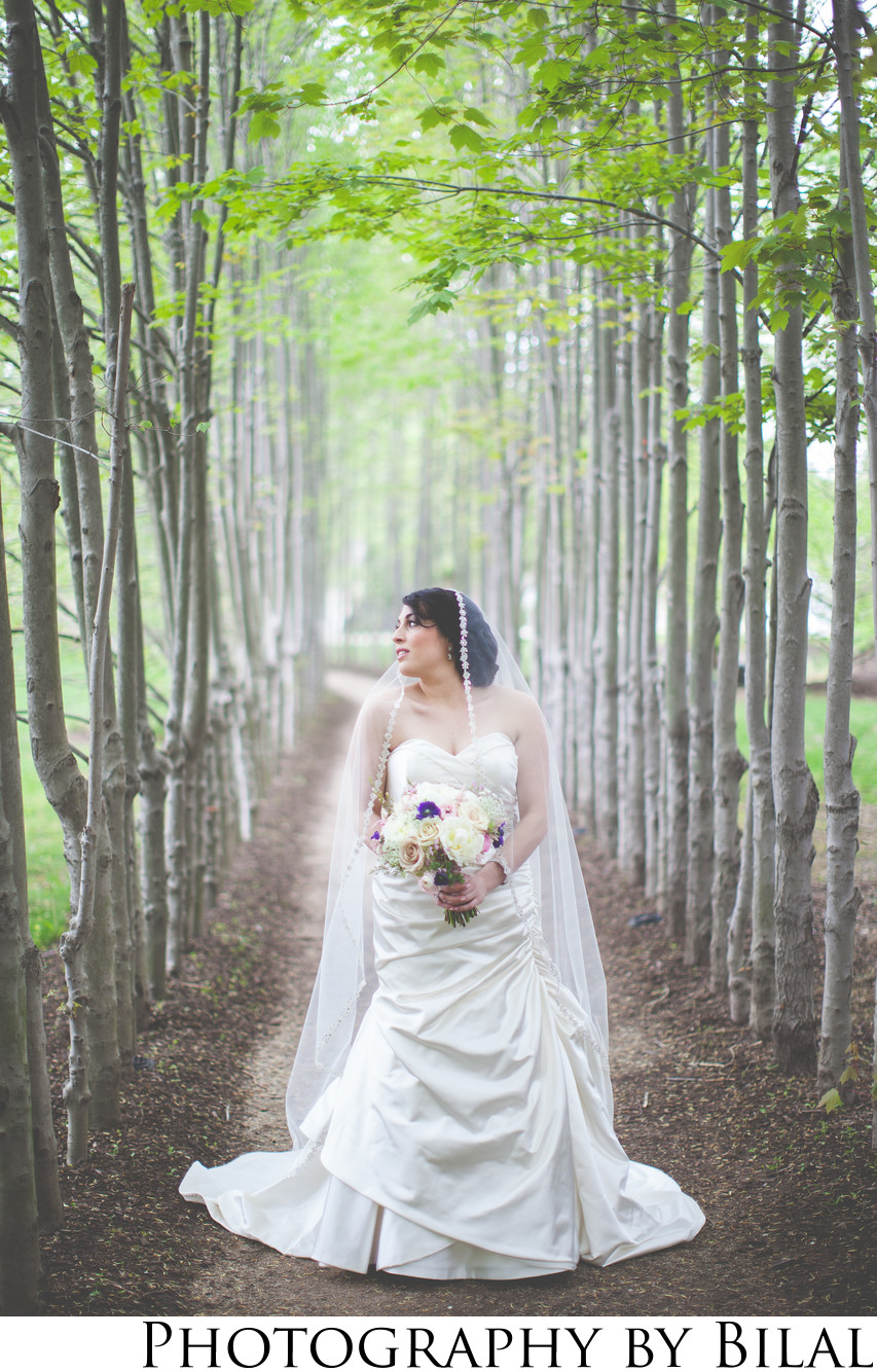 Grounds for Sculpture Bridal Portrait | NJ Wedding