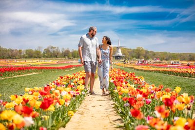 Tulip Field Engagement Walk at Holland Ridge Farms