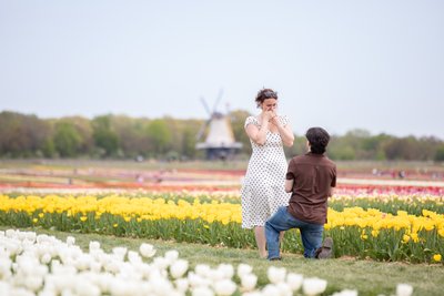 Surprise Proposal at Holland Ridge Farms Tulip Field