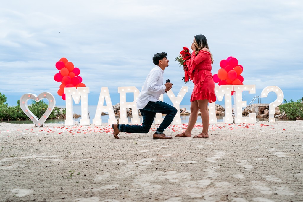 Pineapple Beach Proposal