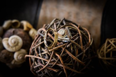 bride and groom rings