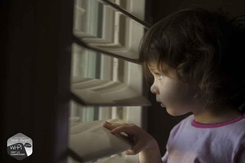 Wppi Silver Award winning 