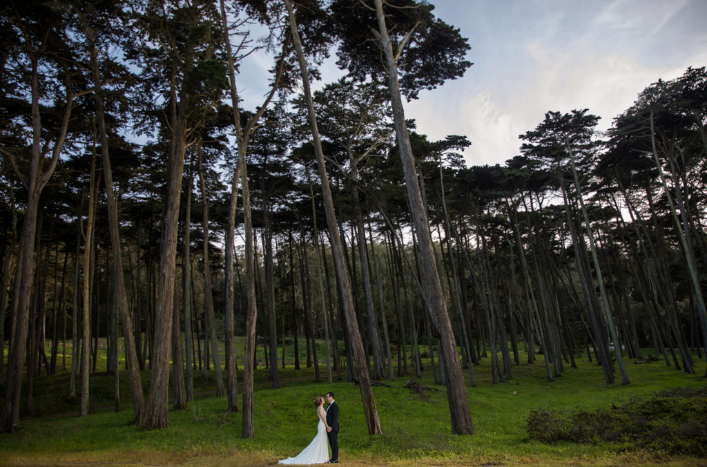 Presidio Wedding Photography San Francisco Wedding Photography