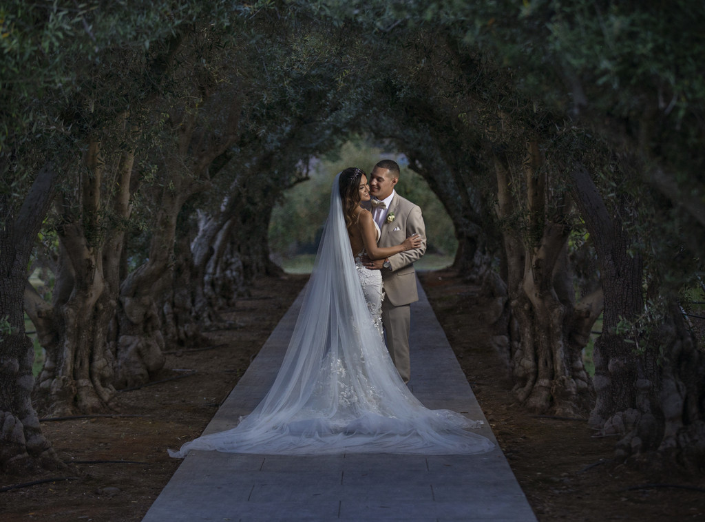 Best Sycamore Creek Wedding Photography Trees 