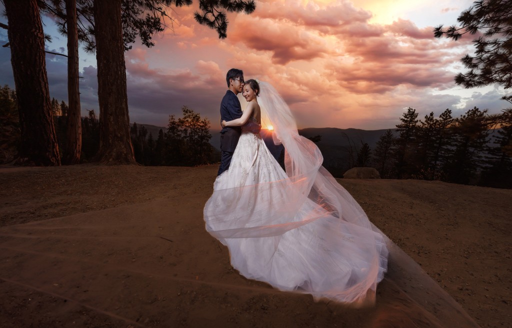 Yosemite Wedding Couple Photo 