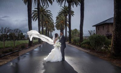 Spring Wedding at the palm Event center 