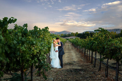 Casa Real Wedding Pleasanton California Vinyards