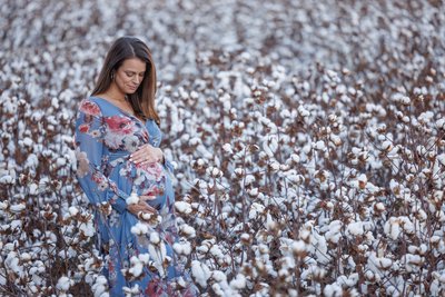Cotton field maternity photo