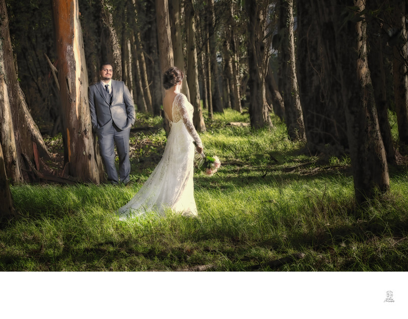  San Francisco City Hall Wedding Photography - Couple in Forest of the Presidio | San Francisco City Hall Wedding Photographer
