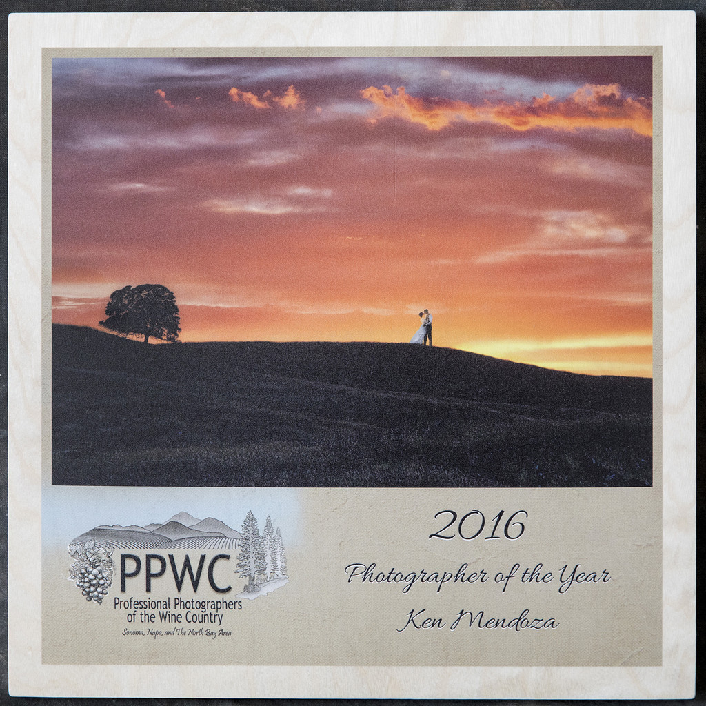 Photographer of The Year Wine Country Ken Mendoza